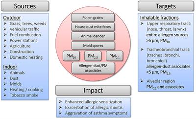 Mechanisms of Particles in Sensitization, Effector Function and Therapy of Allergic Disease